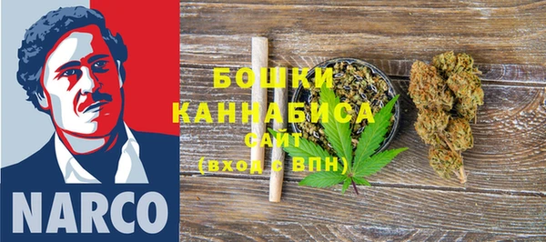 МДПВ Струнино