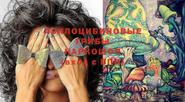 ГАЛЛЮЦИНОГЕННЫЕ ГРИБЫ Абаза