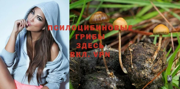 меф Абдулино