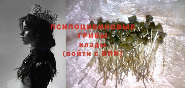 ГАЛЛЮЦИНОГЕННЫЕ ГРИБЫ Абаза