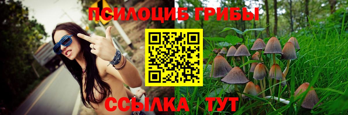 Псилоцибиновые грибы мухоморы Донецк